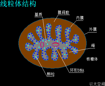 探秘无信号区百慕大丨那神秘的磁性石究竟有何秘密? 探秘无信号区百慕大丨那神秘的磁性石究竟有何秘密?