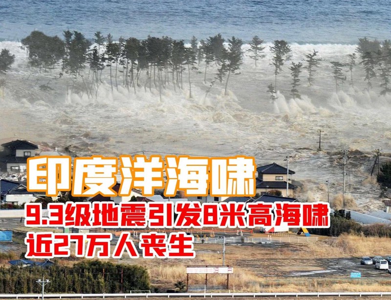 当黑夜笼罩印度洋，灾厄之翼降临…