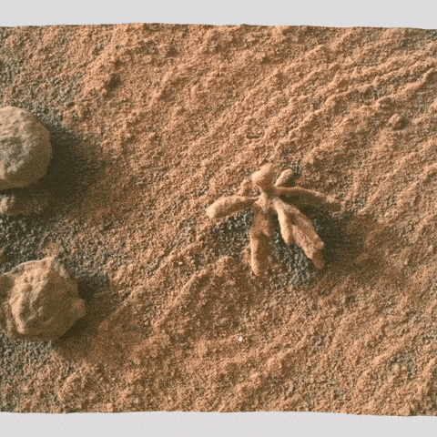 珊瑚塌陷区的宇航残骸·一场光学幻影的隐喻