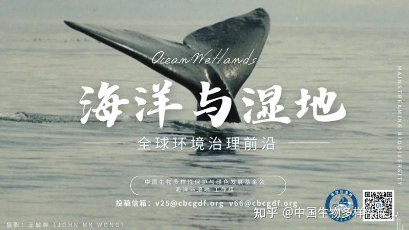 南海目击神秘生物·渔民口中的