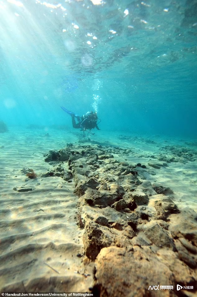 亚特兰蒂斯旧磁带丨揭秘海怪目击背后的神秘传说