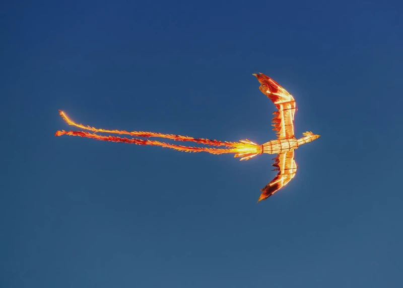 印度洋上空的凤凰丨一场视觉盛宴与生命启示