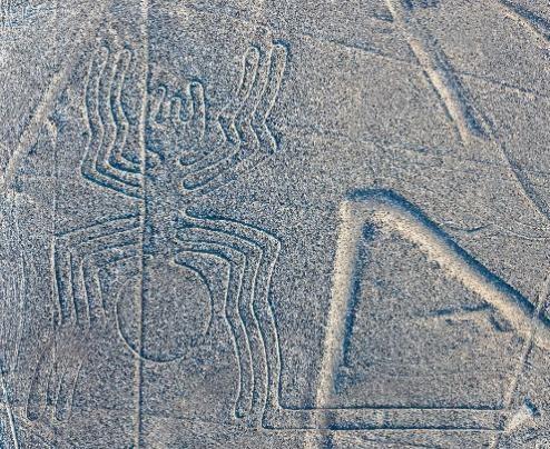 深夜翻看纳斯卡地图，那些线条竟然像极了某种惨烈的骨骸残迹！