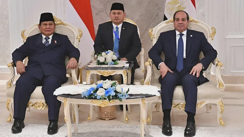 我差点在新喀里多尼亚的雨林里，撞见了“星际兄弟会”…