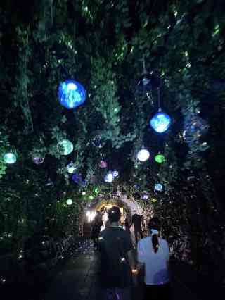 那晚，我在洞穴里看到了最亮的“魅影”？