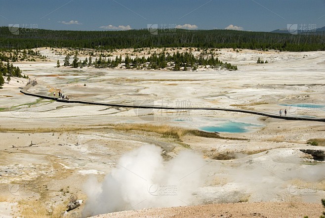 黄石公园的狼嚎·那些被我们误解的传导信息