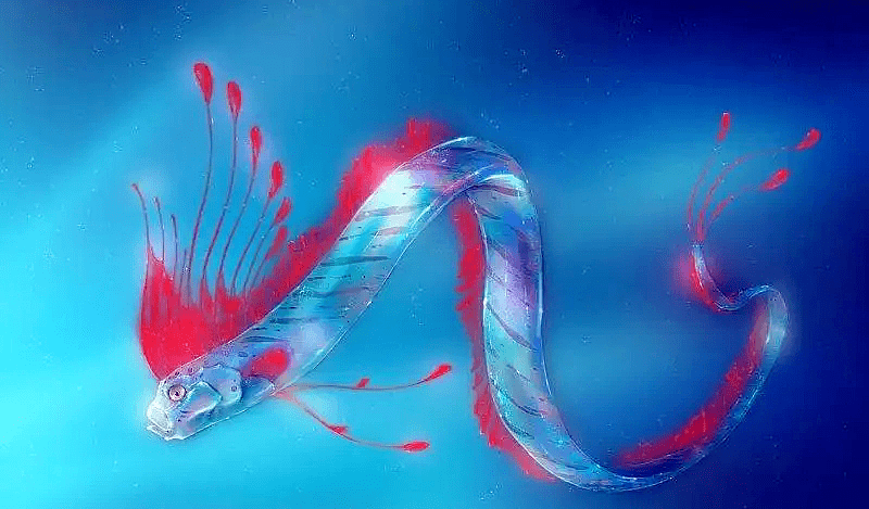 深海白龙空间｜我在海底遇见的神秘领域