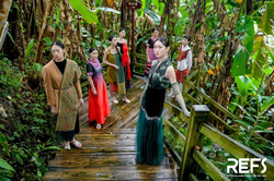 森林精灵的秘密！