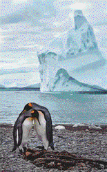 高加索冰川上的神秘遗骸｜时间的静默见证者