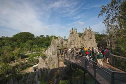 黑森林的神秘双环印｜动物界的奇闻