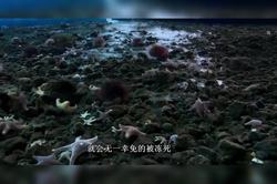 海底深处，那根会发光的柱子到底是什么？