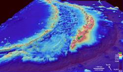 深海奇迹丨马里亚纳海沟的神秘光环巨型鳞片之谜