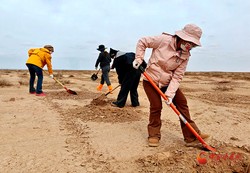 烧灼指纹海浪停摆丨当沙漠石林遇见不可能的奇迹