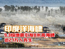 当黑夜笼罩印度洋，灾厄之翼降临…