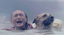 我见过那只在海边狂吠的狗，它叫“大西洋预言犬神”