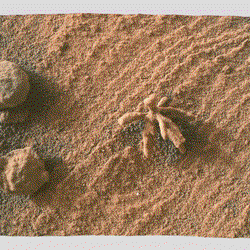 珊瑚塌陷区的宇航残骸·一场光学幻影的隐喻