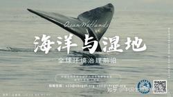 南海目击神秘生物·渔民口中的"海怪"真相