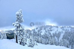 雨林、冰川、山灵｜大自然最诡异的交响曲