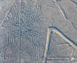 深夜翻看纳斯卡地图，那些线条竟然像极了某种惨烈的骨骸残迹！