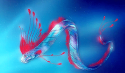 深海白龙空间｜我在海底遇见的神秘领域