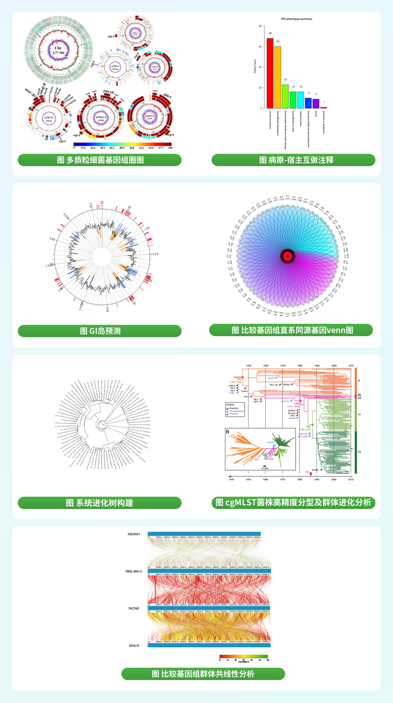 合恩角基因工程调查｜一场关乎未来的风暴眼