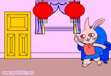 小兔子的傲娇日记？