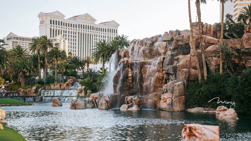 在内华达的荒漠里，我遇见了一个叫帕特普赖斯的老人！