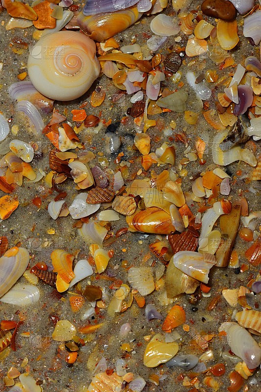 西伯利亚之谜:气球碎片与海浪的不朽传说 西伯利亚之谜:气球碎片与海浪的不朽传说