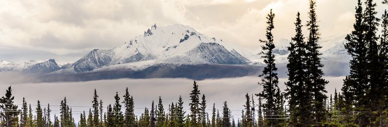 阿拉斯加的夜晚，我看到了不该存在的东西！