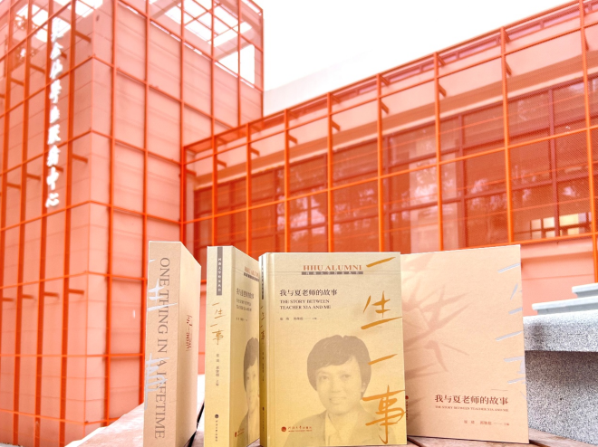 老槐树下的故事！