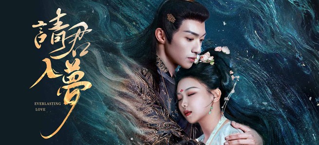 君君故事｜我在老巷子捡到一只会说话的猫