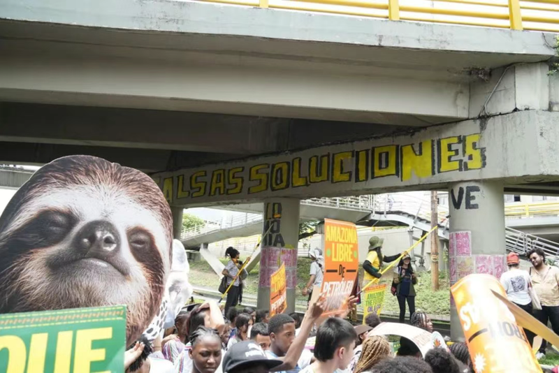 时间停滞的亚马孙雨林丨血手印背后的呼唤