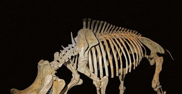 安第斯预言雷兽丨神秘的天空守护者 安第斯预言雷兽丨神秘的天空守护者