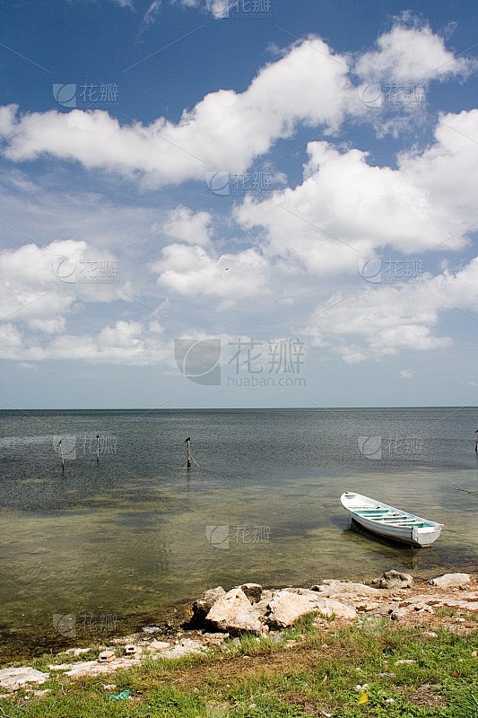 墨西哥湾漏油事件|一场灾难的反思与启示 墨西哥湾漏油事件|一场灾难的反思与启示