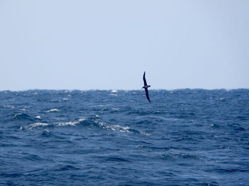 丹麦光云｜重塑视觉证据的创新力量