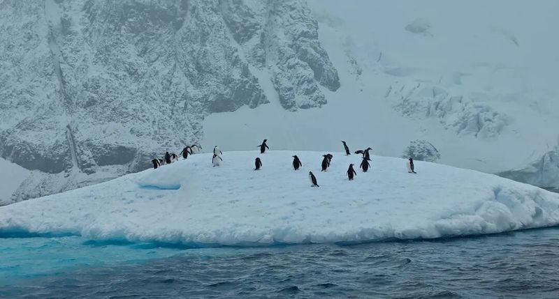 无人航线上的红绳结雨鱼｜当科技与传说相遇