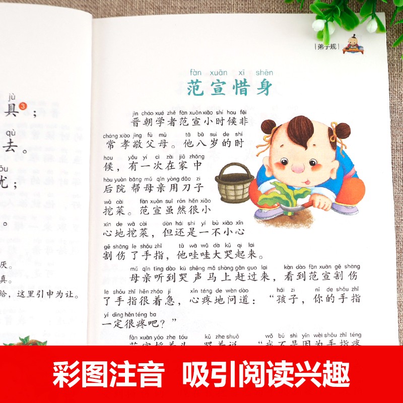 书中的秘密｜一段跨越千年的师徒情