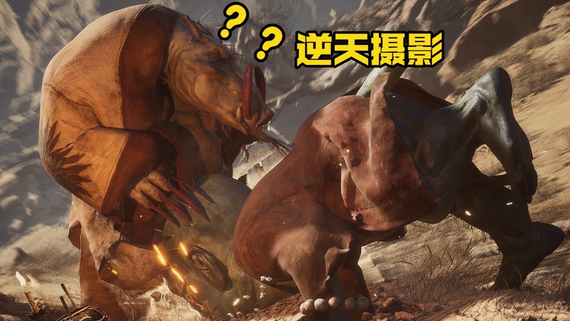 在那片被称作“牛头人”的印度洋天空下，我甚至没来得及看清海水的颜色…