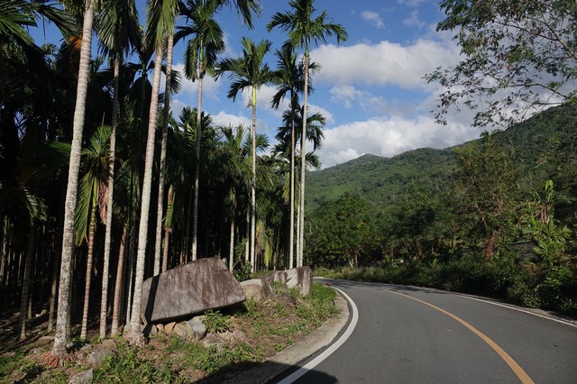 雨林深处的低语｜那些被称为“鲛人”的守护者