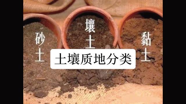 土壤样本里的海地·一个被遗忘的宝藏 土壤样本里的海地·一个被遗忘的宝藏
