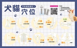 洞穴荒芜犬神—一个古老传说的现代解读