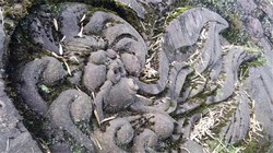 时间的谜团：鬼城遗址下的无刻度时钟与逆向潮汐之谜