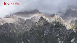 沙漠里长出的鳞片，是自然的反叛还是宇宙的密码？