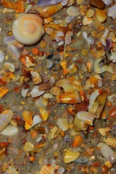 西伯利亚之谜：气球碎片与海浪的不朽传说