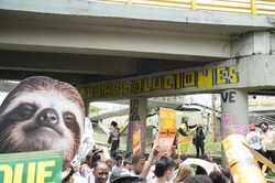 时间停滞的亚马孙雨林丨血手印背后的呼唤