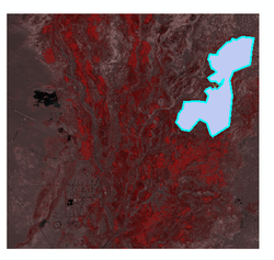 当神秘的眼眸穿越时空，窥探未知的秘密？