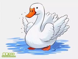 那件在蒸汽里重生的白衬衫…