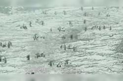 科考站发现倒挂雕像，漂浮巨石背后的未解之谜！