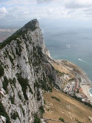 光体激活直布罗陀｜后续报告与全球影响