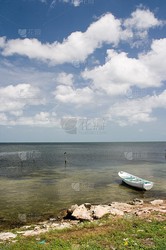 墨西哥湾漏油事件｜一场灾难的反思与启示